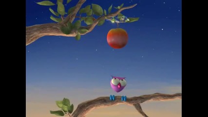 Owl 6 
