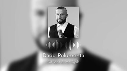 Dado Polumenta-od Vina Si Me Opila (official Audio).mp4
