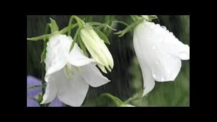 Stamatis Spanoudakis - My Rain 