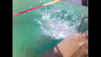 Garito