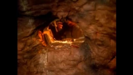 Dinosaurs - S1e04 - High Noon