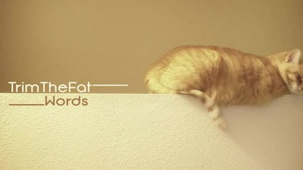 Trim The Fat - Words (original Mix)