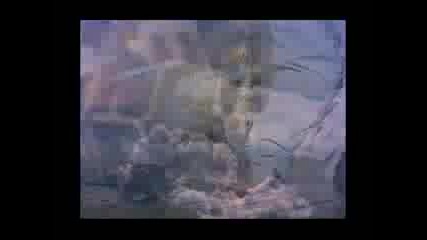 Живота на Мухаммед (с.а.в) - гарант за успешно семейство