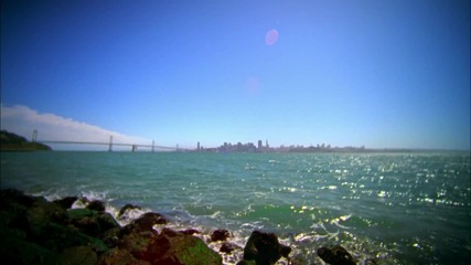 Scenics