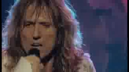 Whitesnake - Still Of The Night Live 