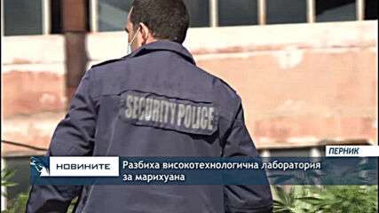 Разбиха високотехнологична лаборатория за марихуана