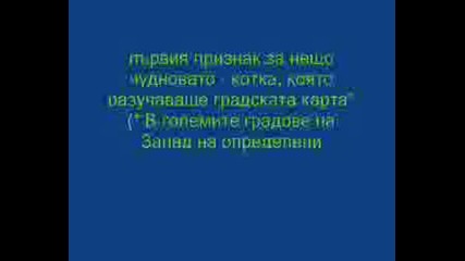 Хари Потър Философският Камк Г.1ч1 Бг