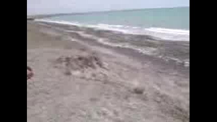 Torbata - Frez - Florias 2