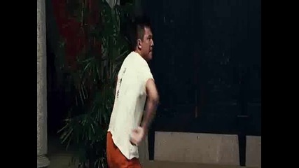 Choy Lee Fut - All fight scenes