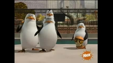 The Penguins Of Madagascar - Paternal Egg Stinct