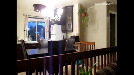 Смях - Коте, Което Не Може Да Скача 