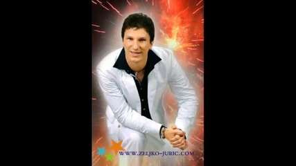 Zeljko Juric - Ludnica [2010]