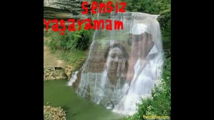 amet ve gulwen