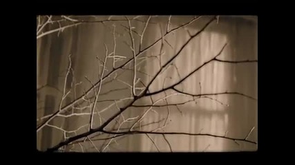 Yonca Lodi - Sende Yaram Var