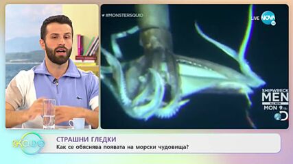 Мистерия в гората - Изоставена маса, подредена за чай за двама, провокира теории защо е там