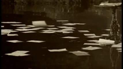 David Bisbal - Amar Es Lo Que Quiero