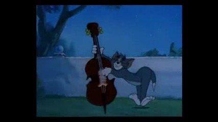 Tom And Jerry