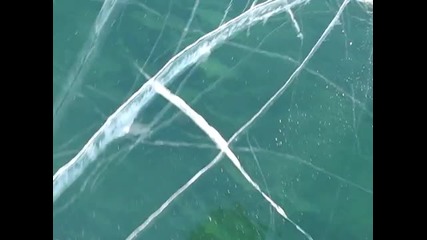 Шарани под замръзнало езеро 