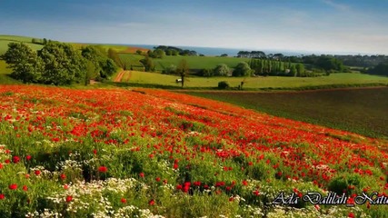 Melody Of Love ___ Nature