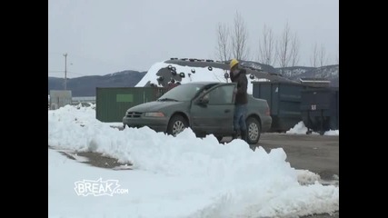 Глава На Лос На Задната Седалка 