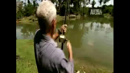 River Monsters - Battling an Arapaima