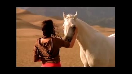 Arabian Horse Association Tv Ad 