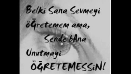 Bergen - Canimdan can iste