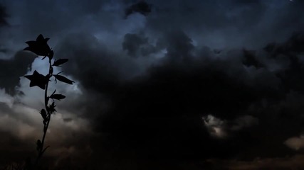Fleetwood Mac - Storms # Високо Качество #