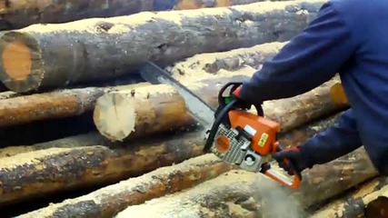Stihl Ms 250