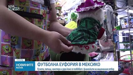 Футболна еуфория в Мексико: Кучета, патици, хамстери и дори коне се появяват с фланелките на националния отбор