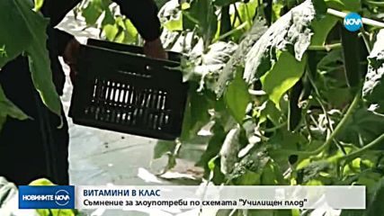 Съмняват се за злоупотреби с училищната храна