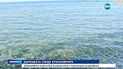 Забраняват риболова в райони с популация на делфини