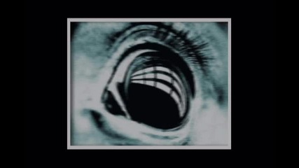 The Ring