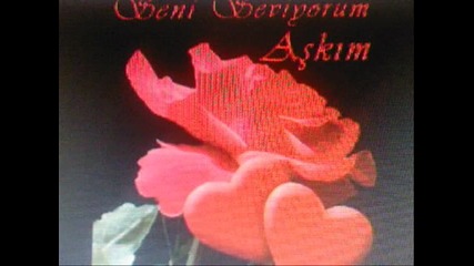 elimsis ask y$ar ve sevim