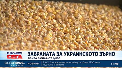 Забраната за украинско зърно влиза в сила от днес