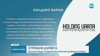 Сигнал до NOVA: Сеч на дървета на крайбрежната алея във Варна
