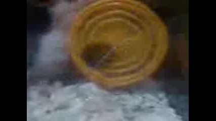 Hamster