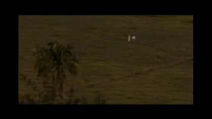 Ennio Morricone - La musica parla
