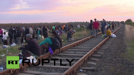Hungary: New refugees arrive at makeshift Roszke camp