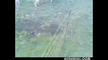 Не Прави Секс Близо До Ел.Ограда