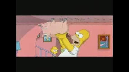 Spider - Cochon.