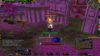 World of Warcraft 3.3.5a / Munkin guide