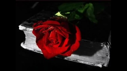 Demis Roussos - Quando l'amore diventa Poesia