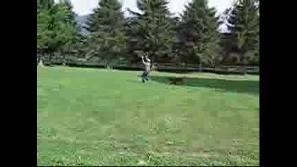 Benny Hill - Yakety Sax