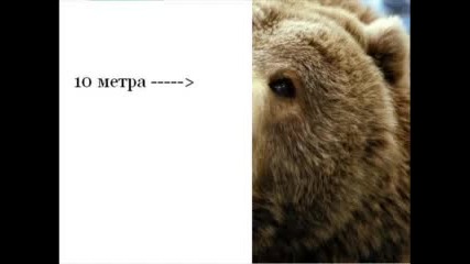 Смях - Бг Хумор - На Лов За Мечки