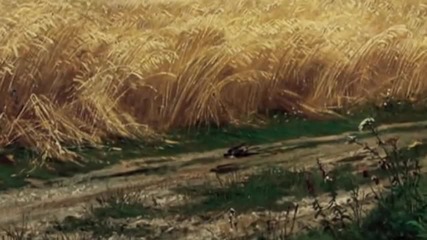 Валди Тотев- Джени
