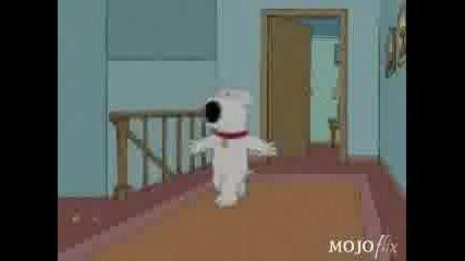 Stewie