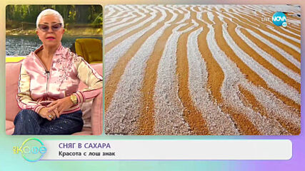 Зимна приказка - Красотата на снега - „На кафе” (19.01.2021)