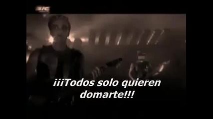 Rammstein - Amour ( Live)