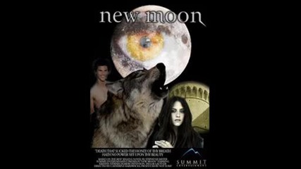 kontest между Twilight и Camp Rock